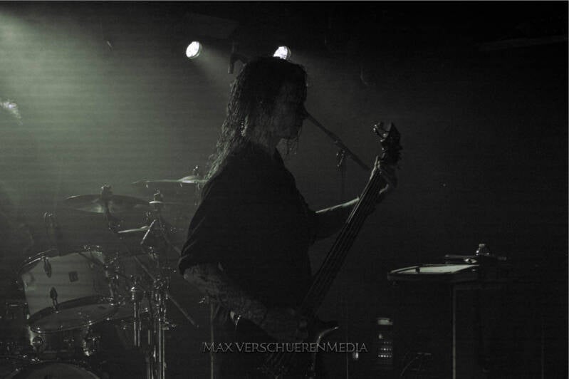 ingested-8-van-22-standard.jpg