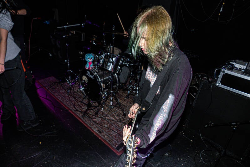p1009746-standard.jpg