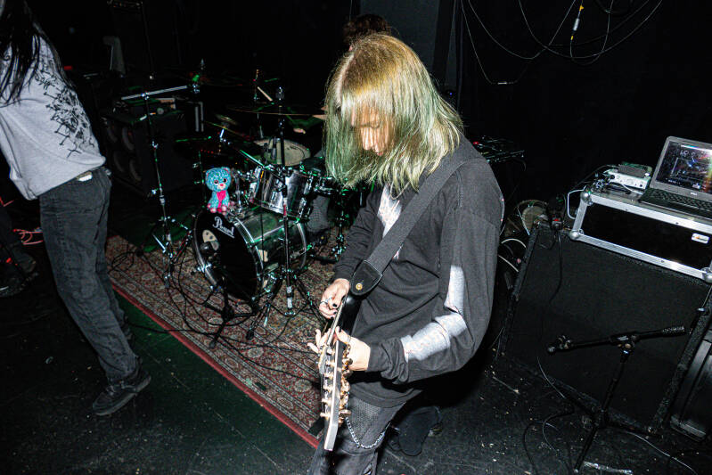 p1009801-standard.jpg