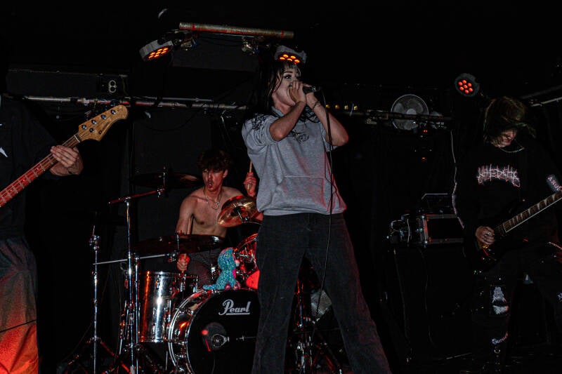 p1009993-standard.jpg