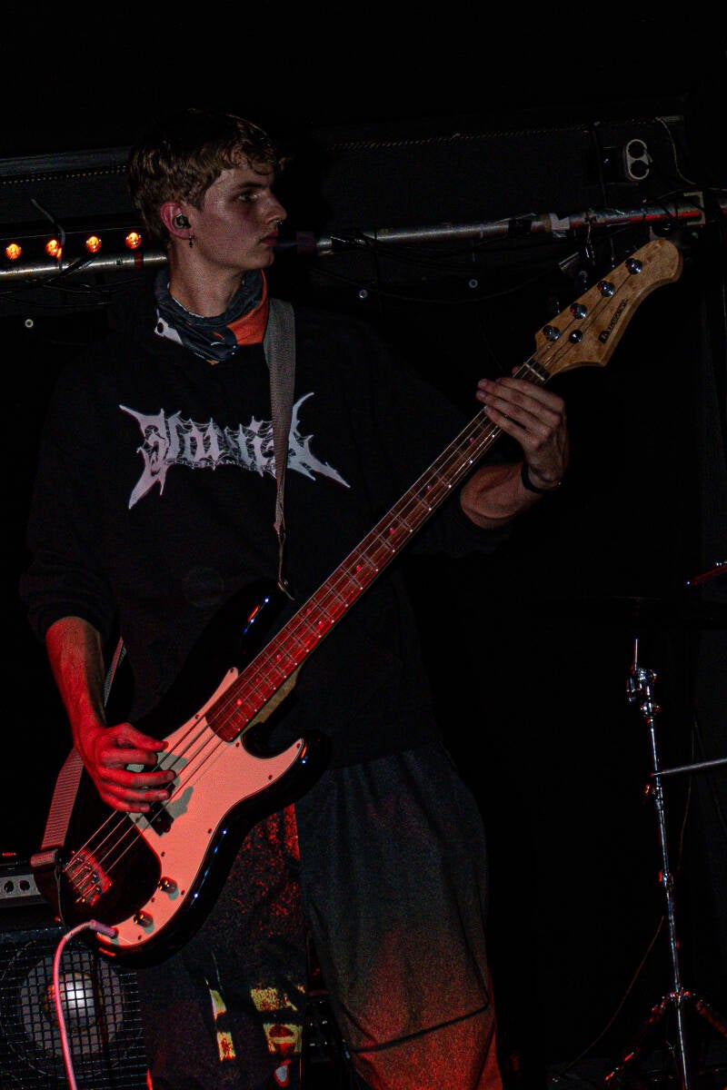 p1009996-standard.jpg