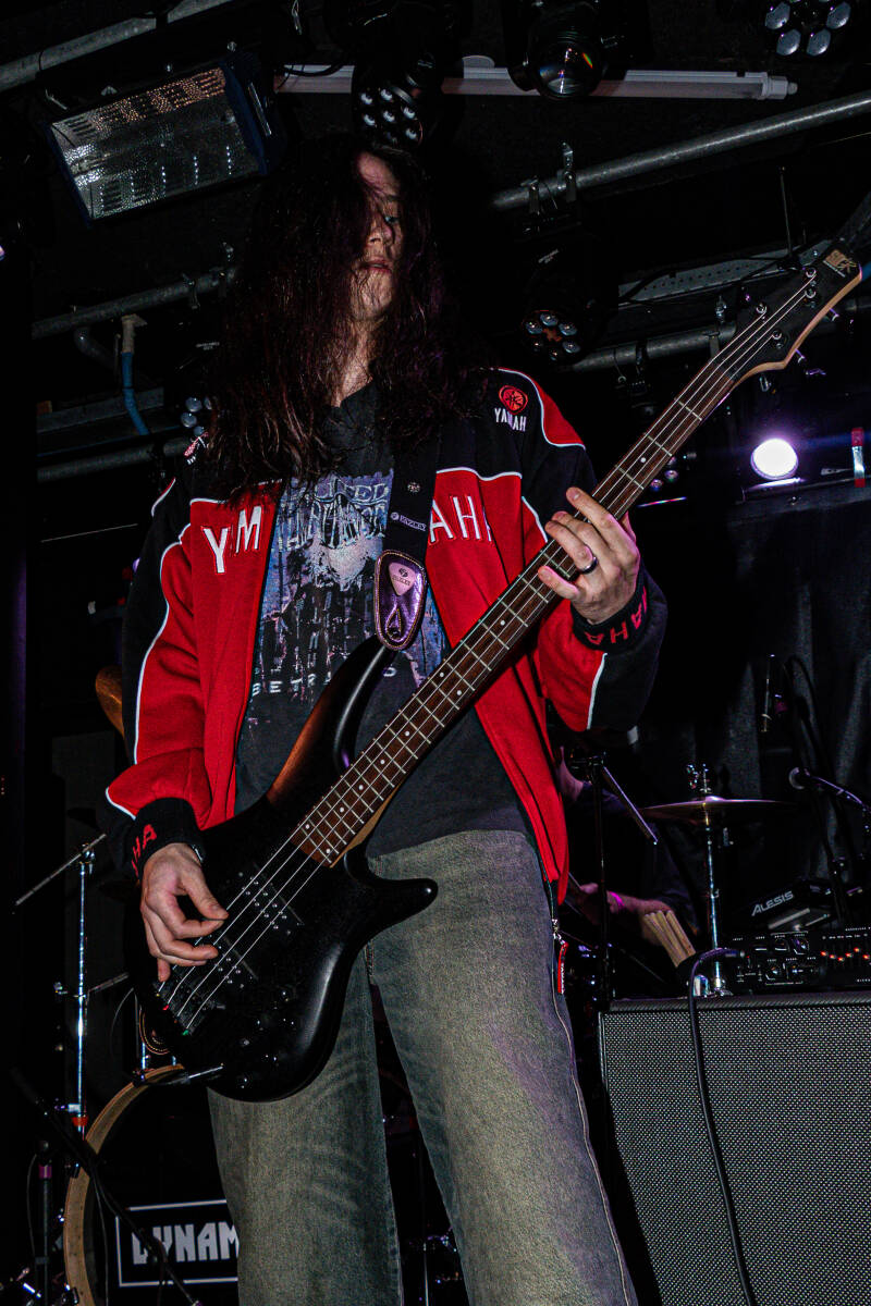 p1050974-standard.jpg