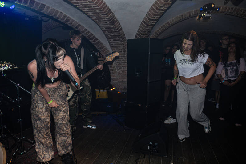 p1051717-standard.jpg