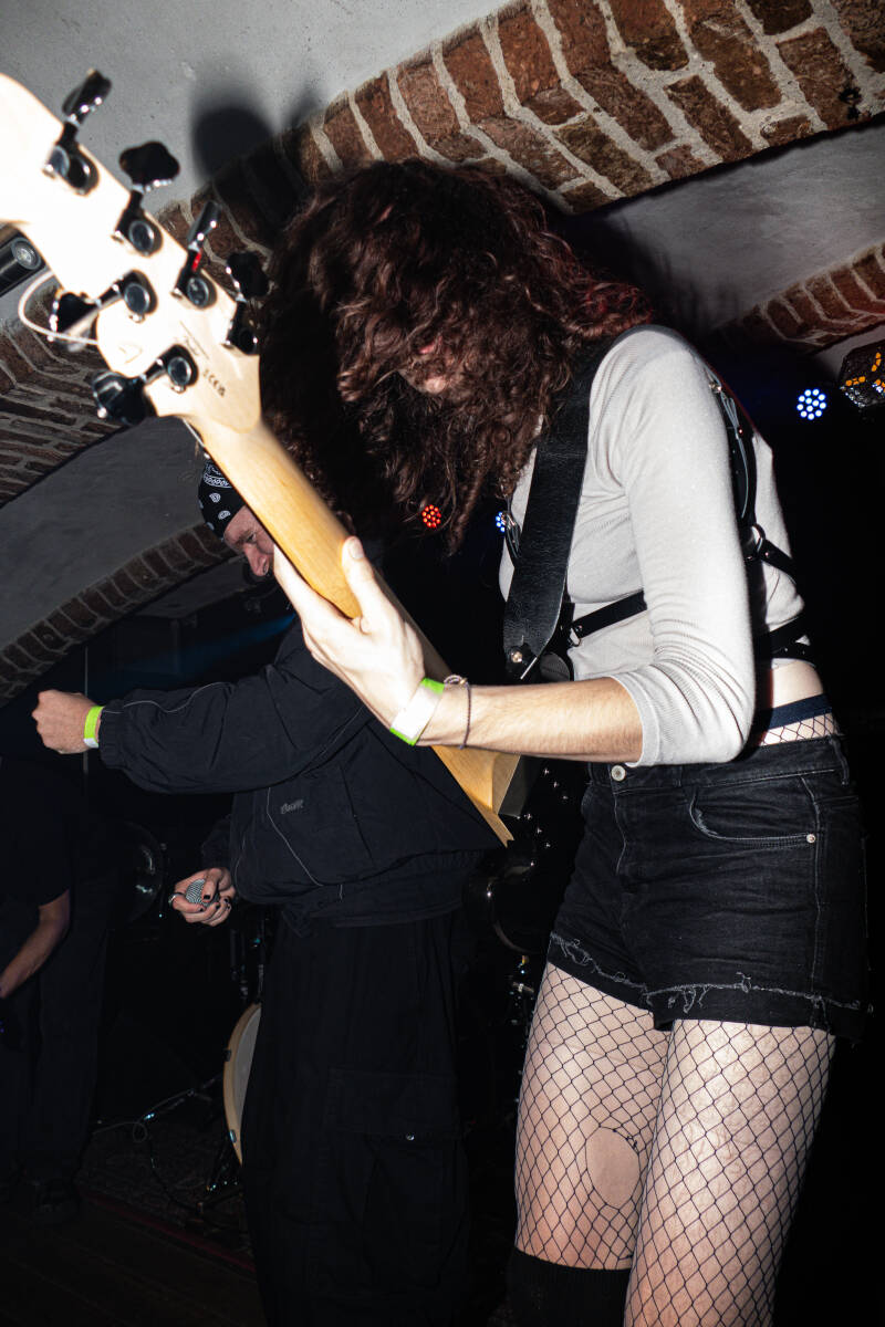 p1051973-standard.jpg