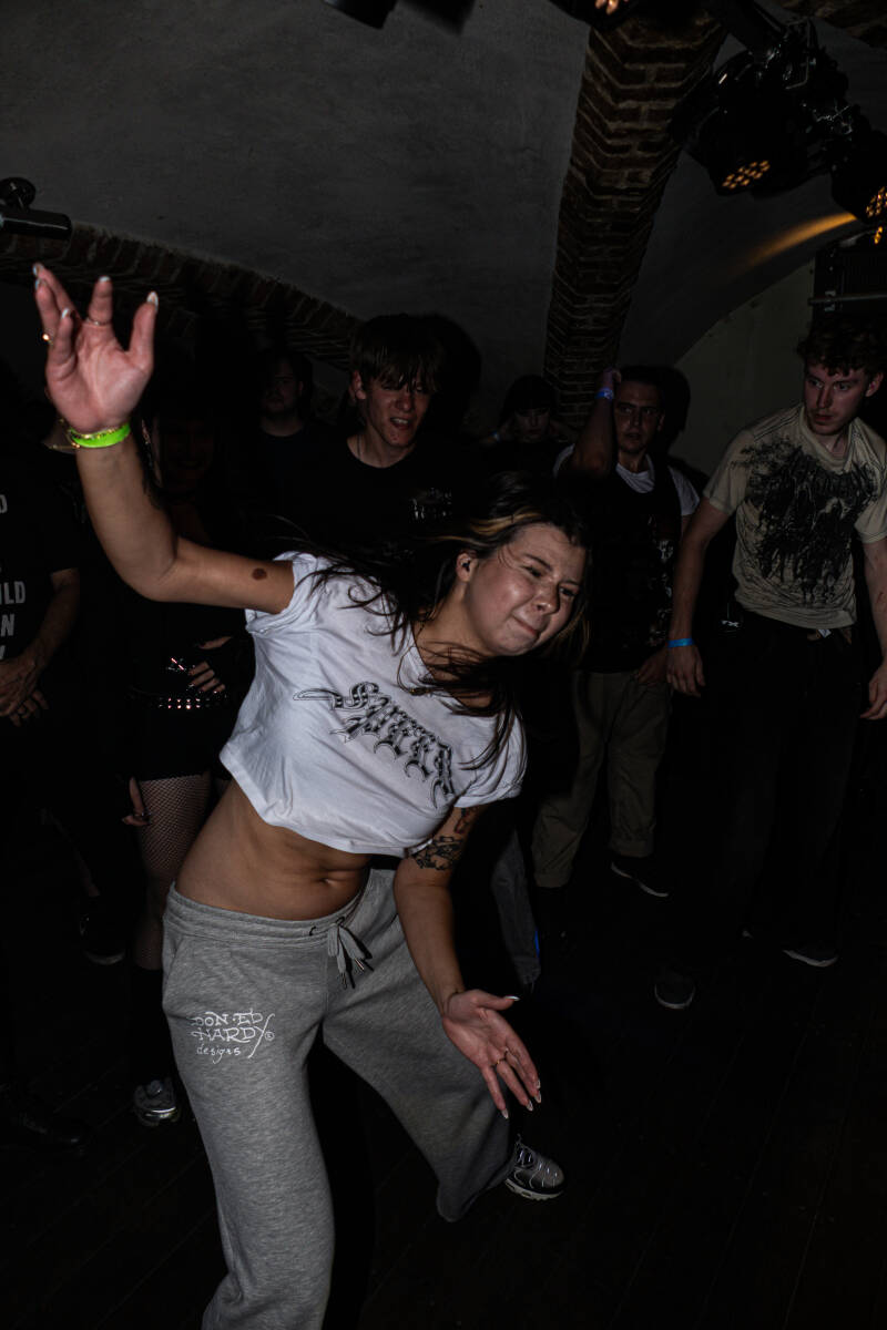 p1052237-standard-x8b4at.jpg
