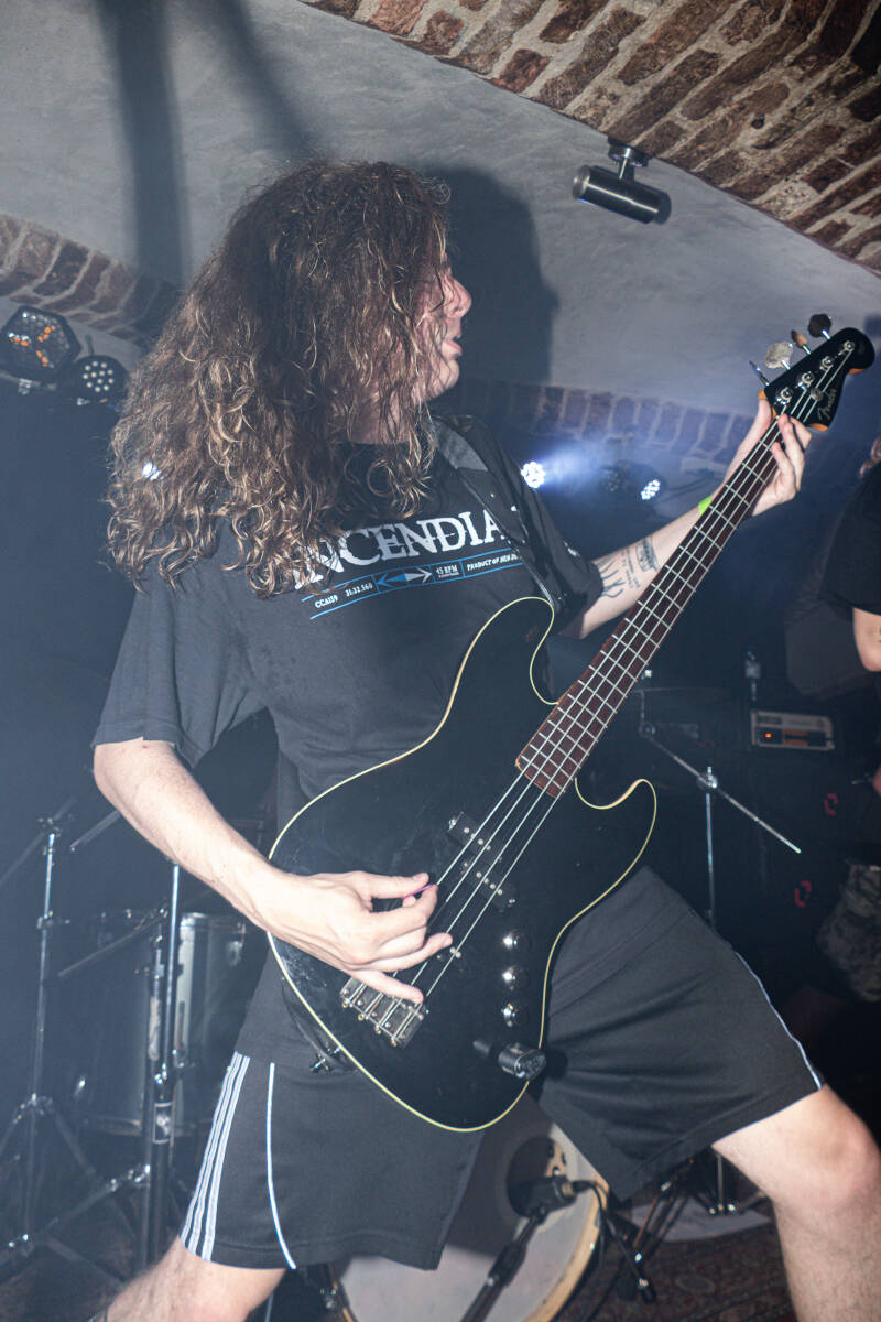p1052298-standard-mqyvh7.jpg