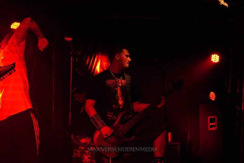 p1062347-standard.jpg