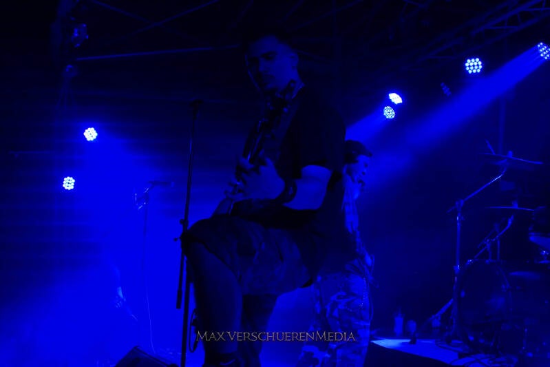 p1062413-standard.jpg
