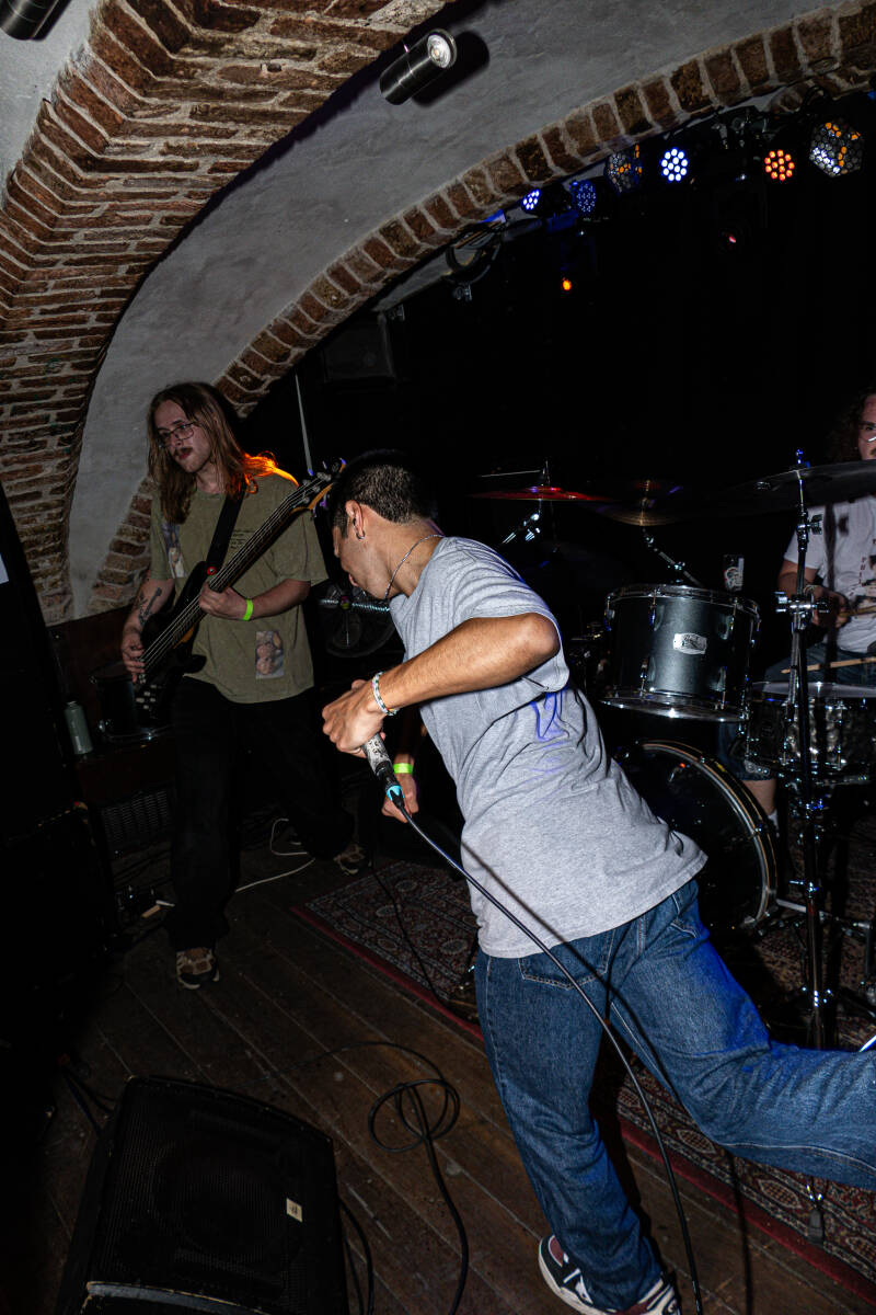p1062553-standard.jpg