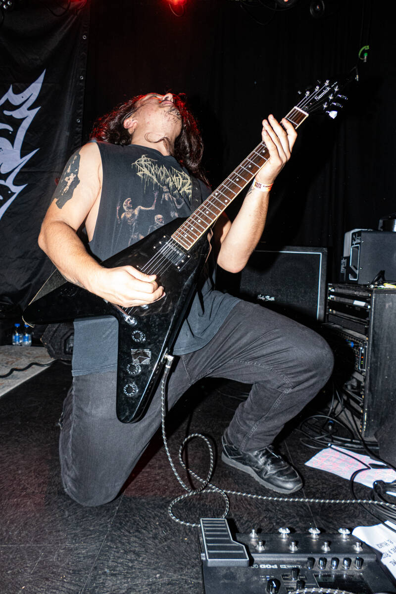 p1063973-standard.jpg