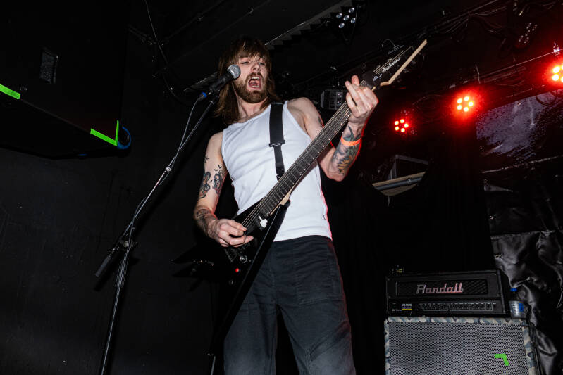 p1064265-standard.jpg