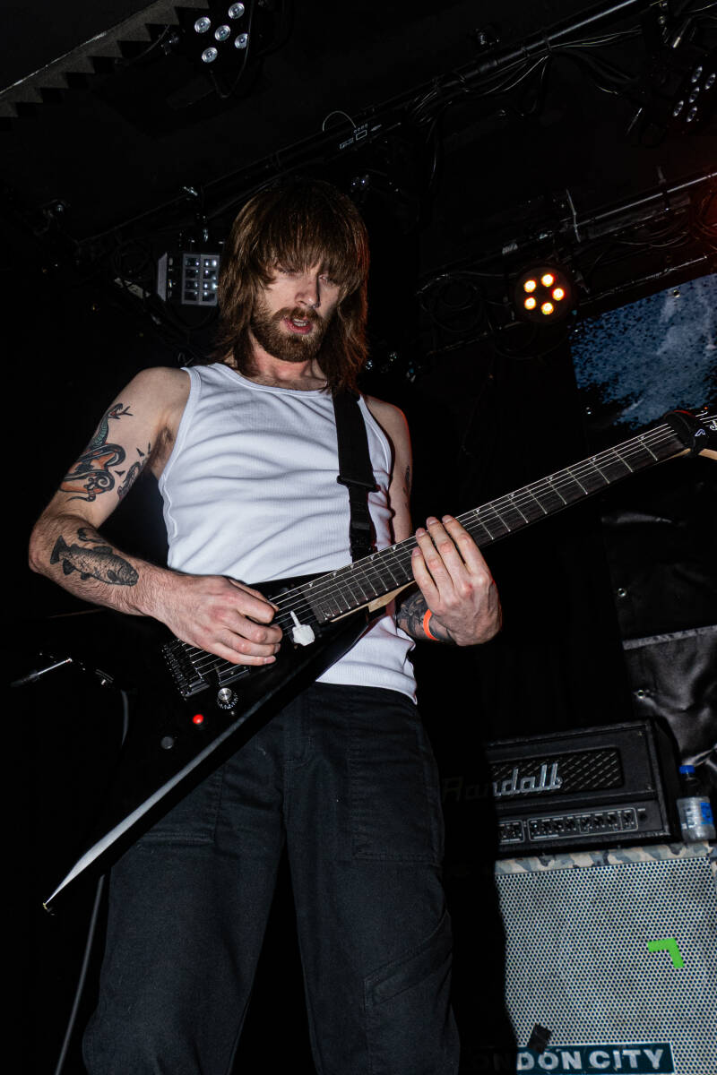 p1064268-standard.jpg