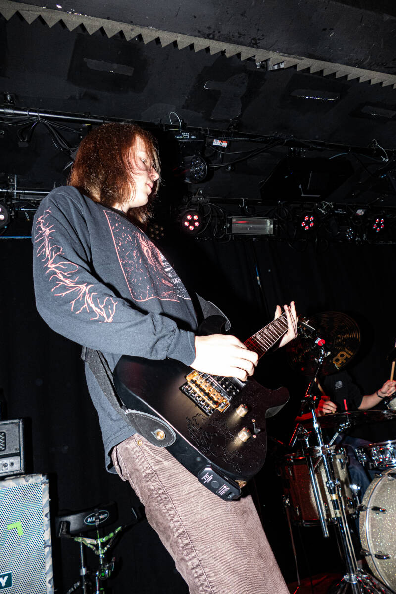 p1064396-standard.jpg