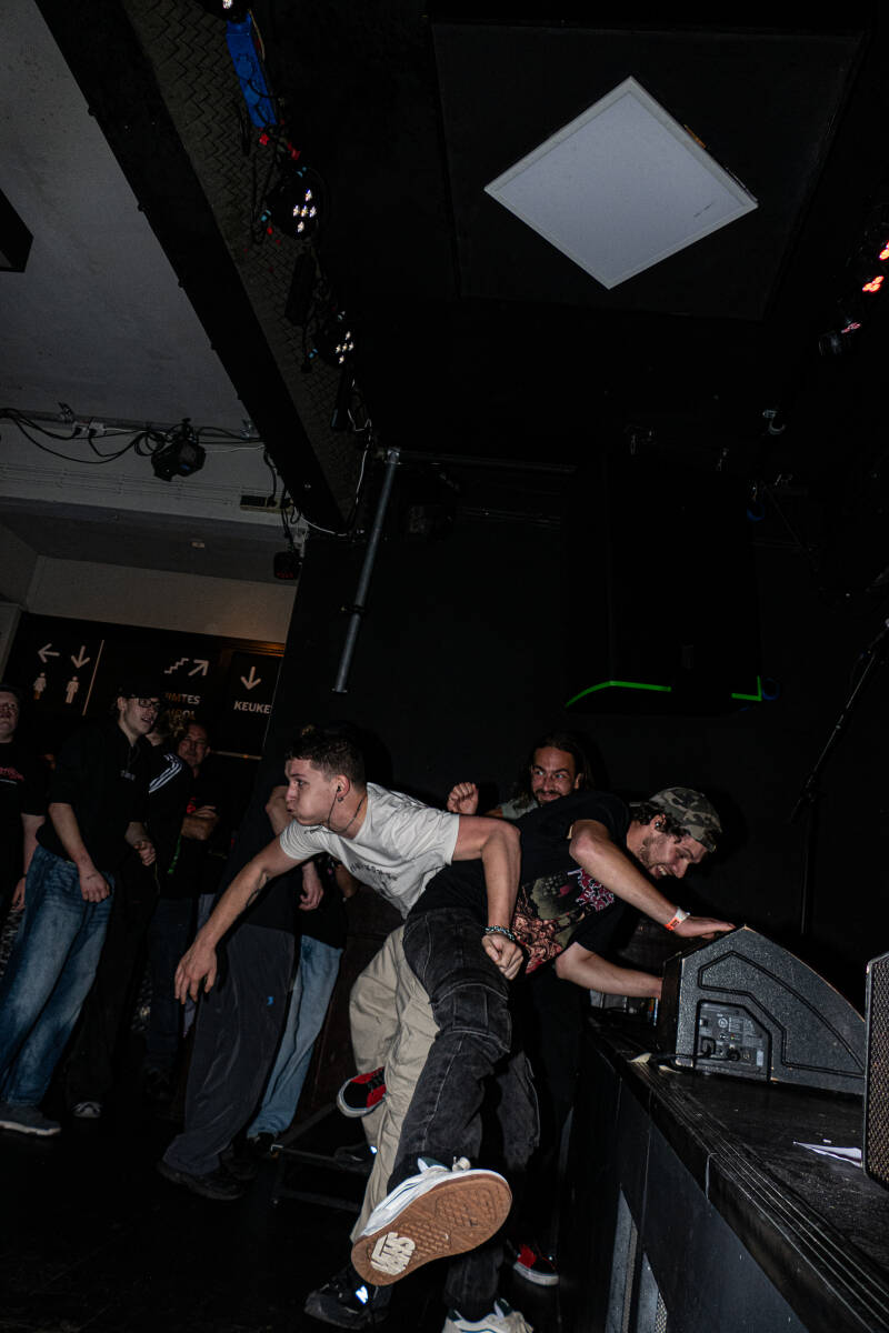 p1064610-standard.jpg