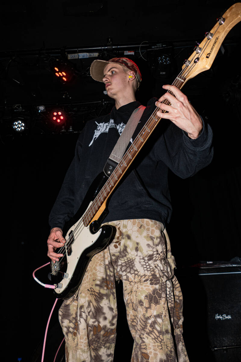 p1064637-standard.jpg