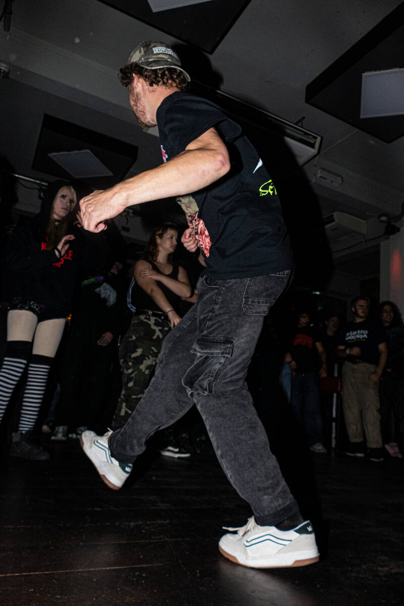 p1064668-standard.jpg