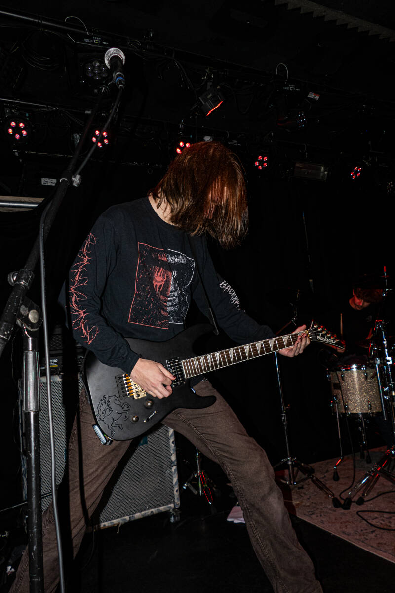 p1074729-standard.jpg