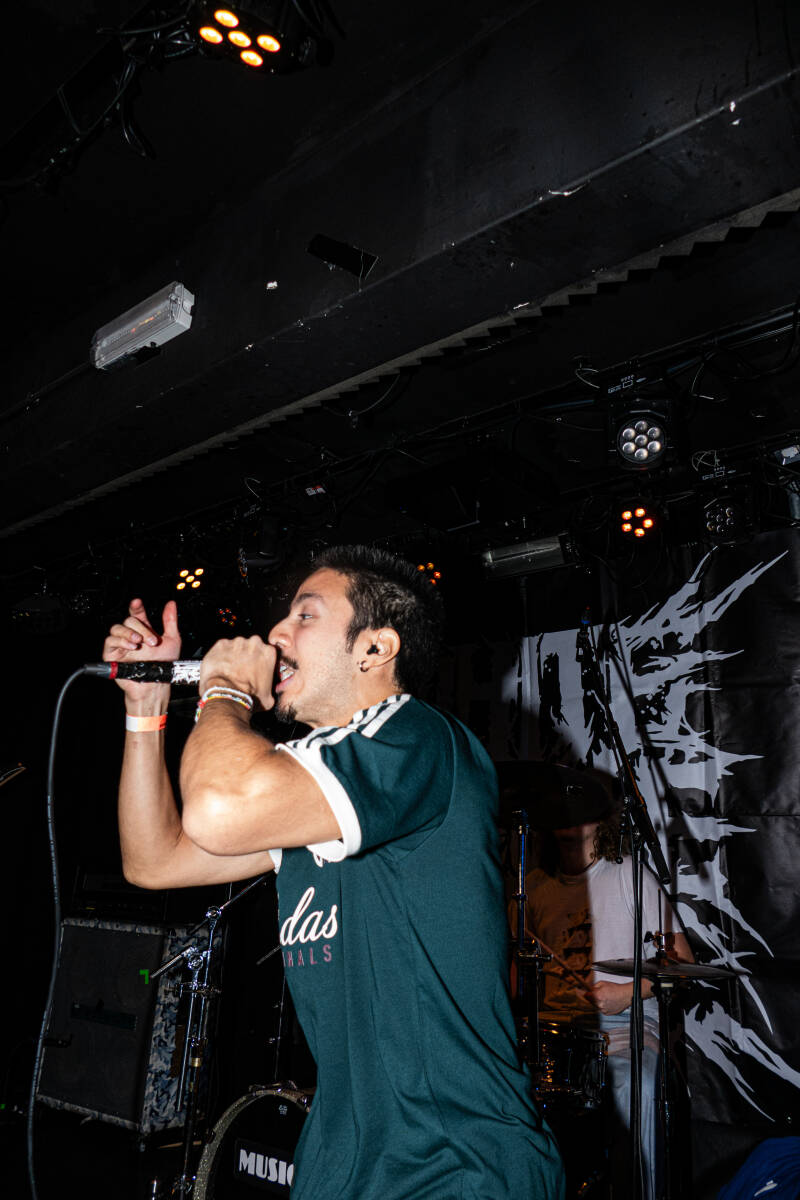 p1074782-standard.jpg