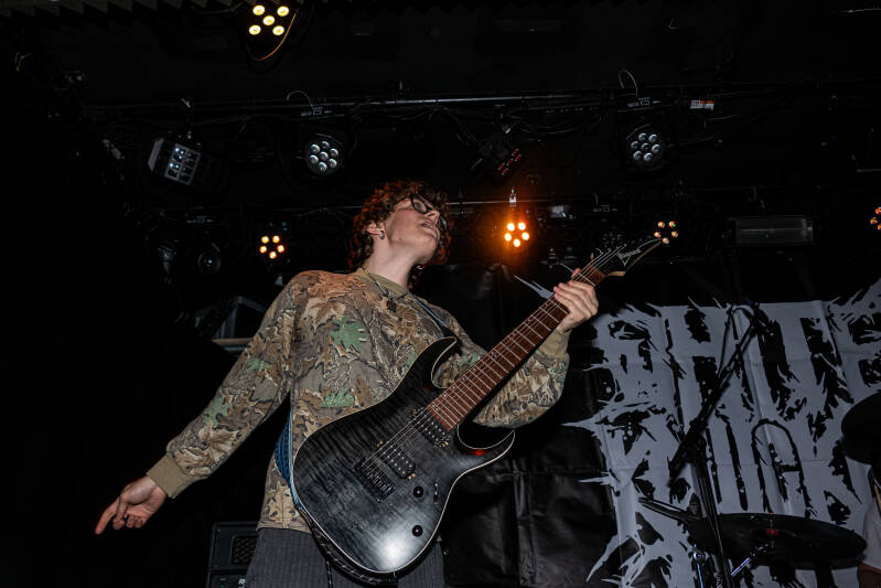 p1074968-standard.jpg