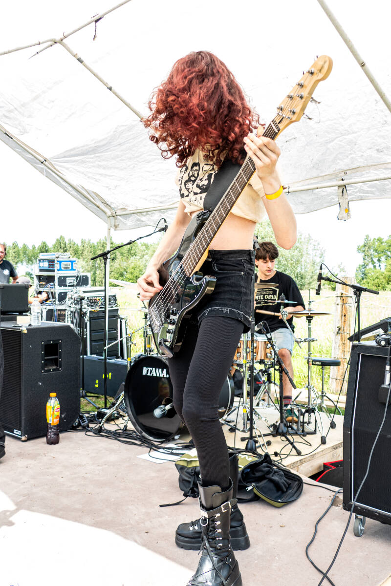 p1223159-standard.jpg
