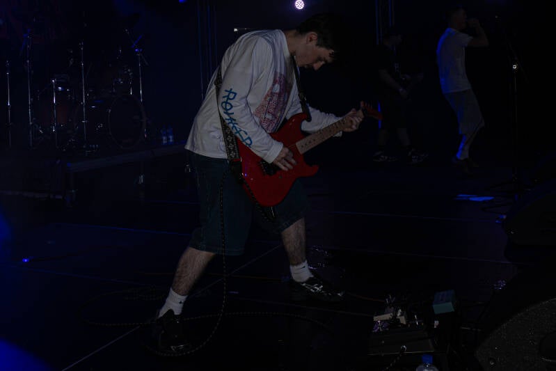 p1234573-standard.jpg