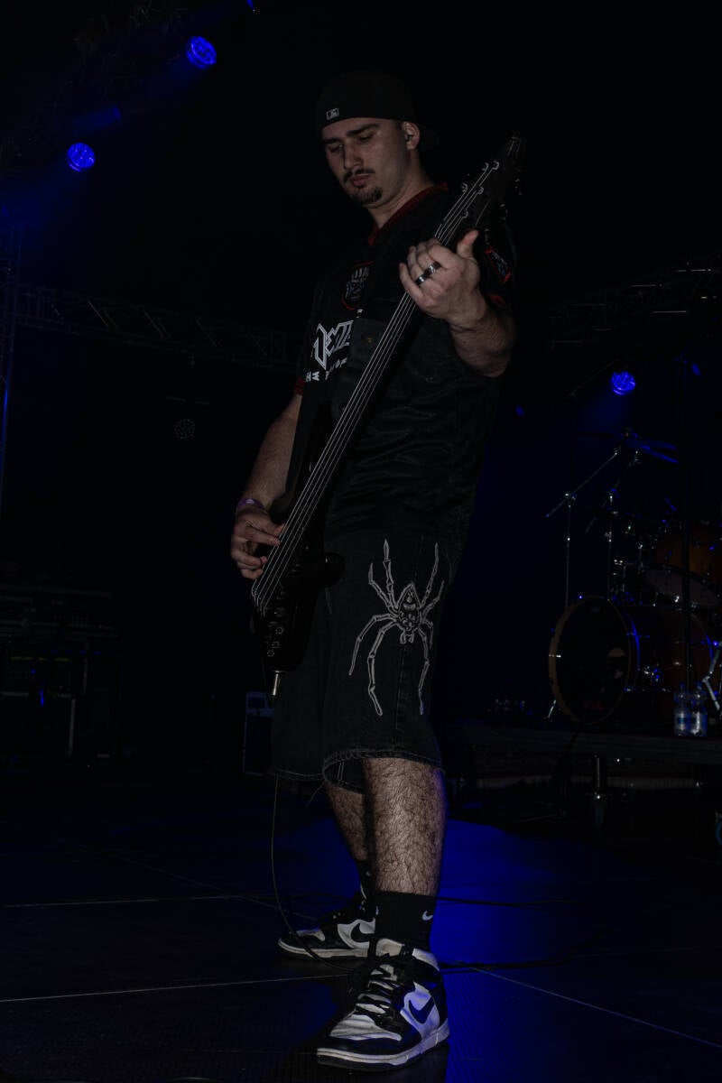 p1234616-standard.jpg