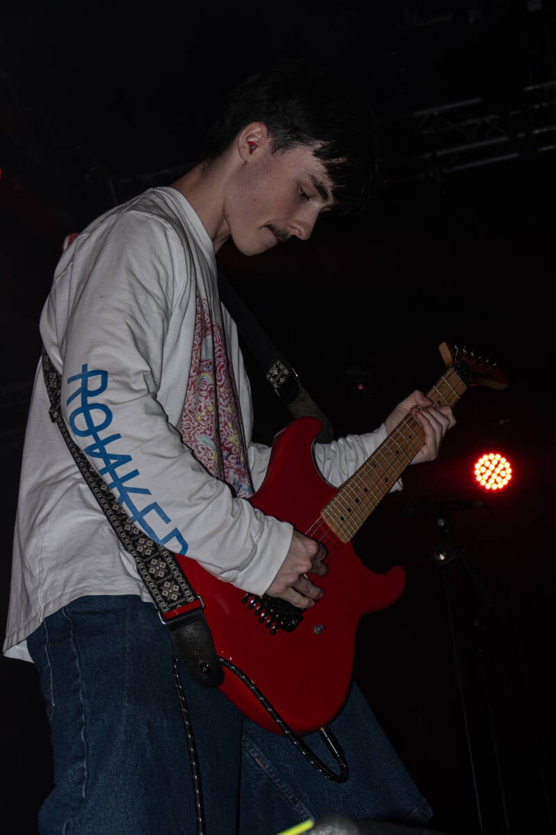 p1234690-standard.jpg