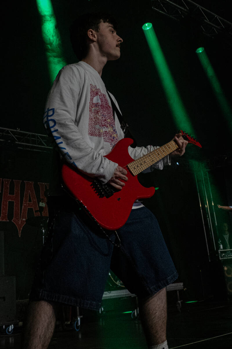 p1234705-standard.jpg