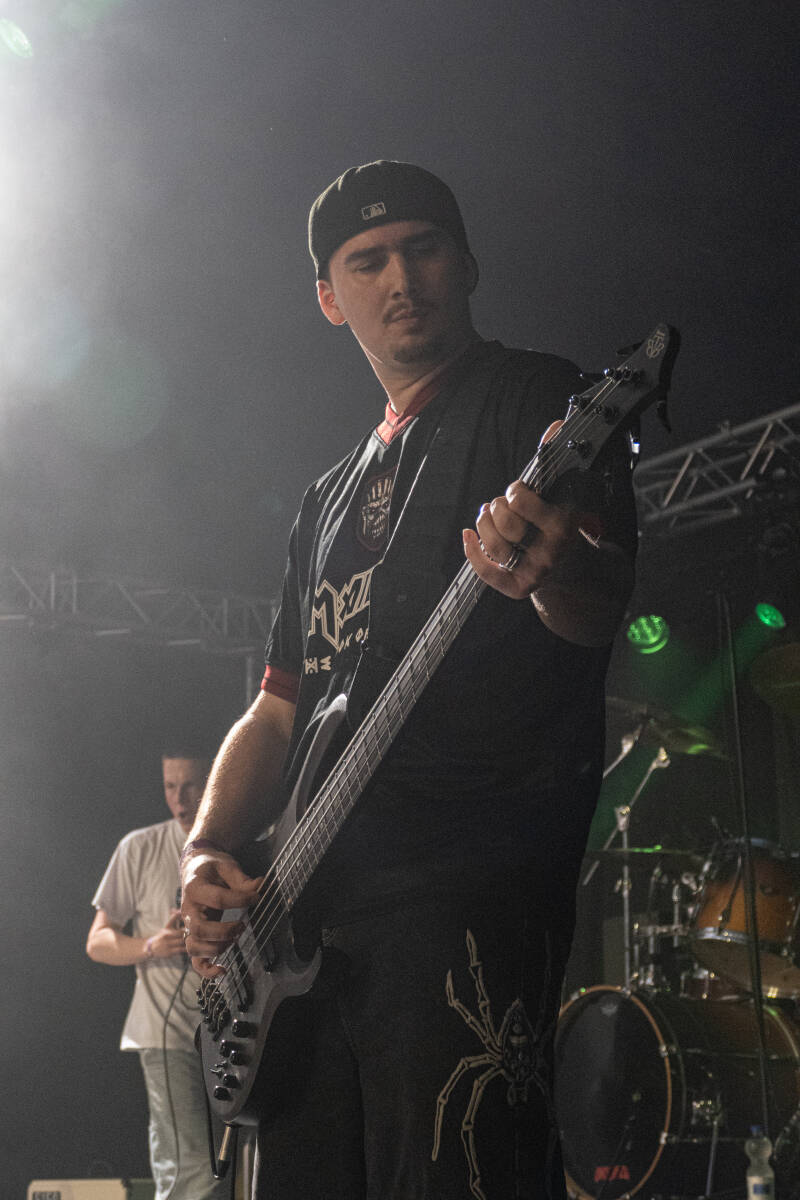 p1234752-standard.jpg