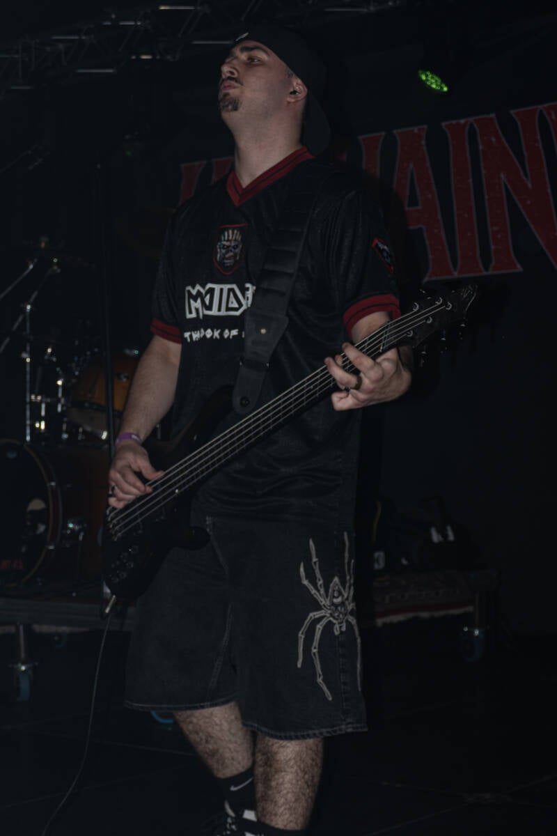 p1234861-standard.jpg