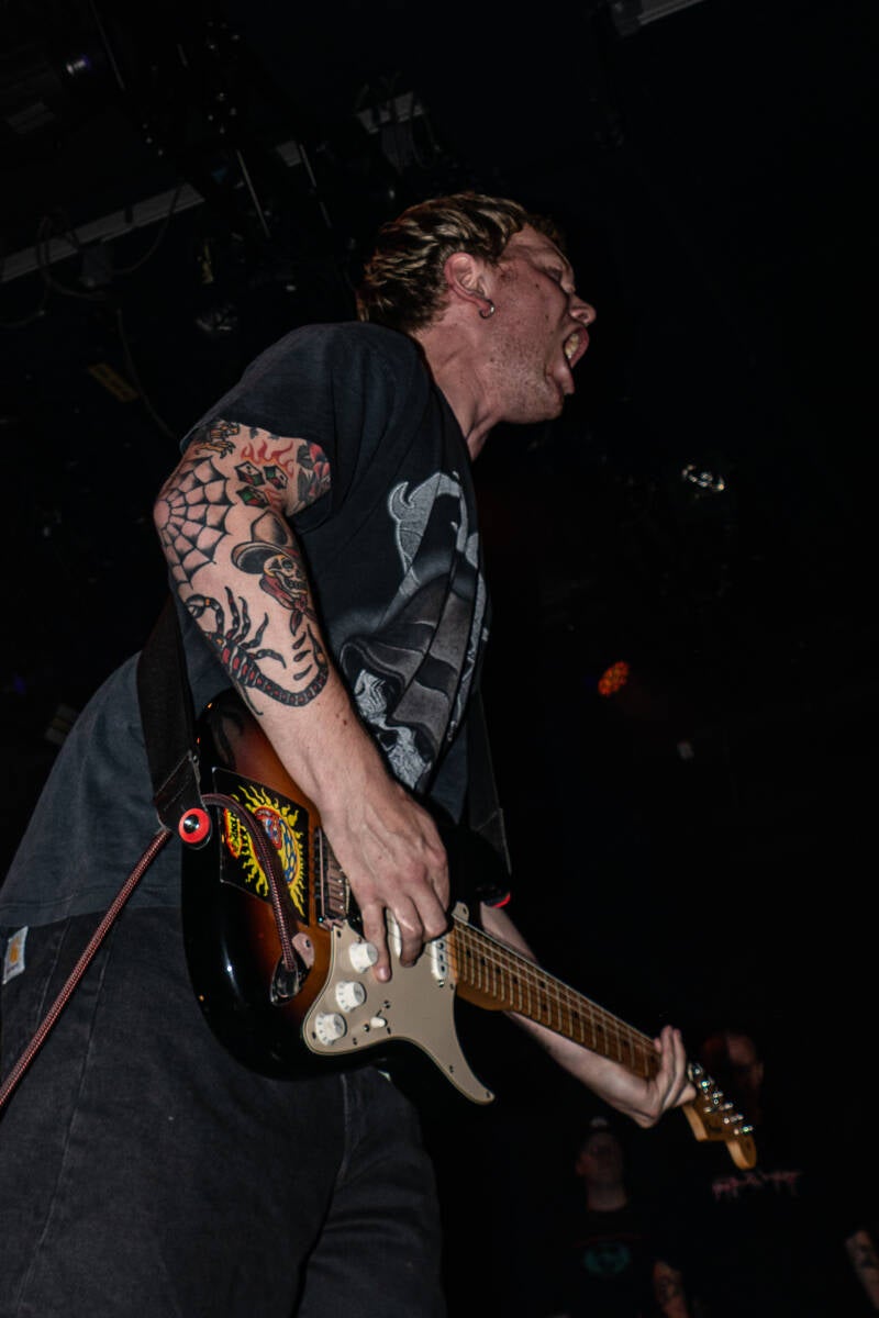 p1235231-standard.jpg