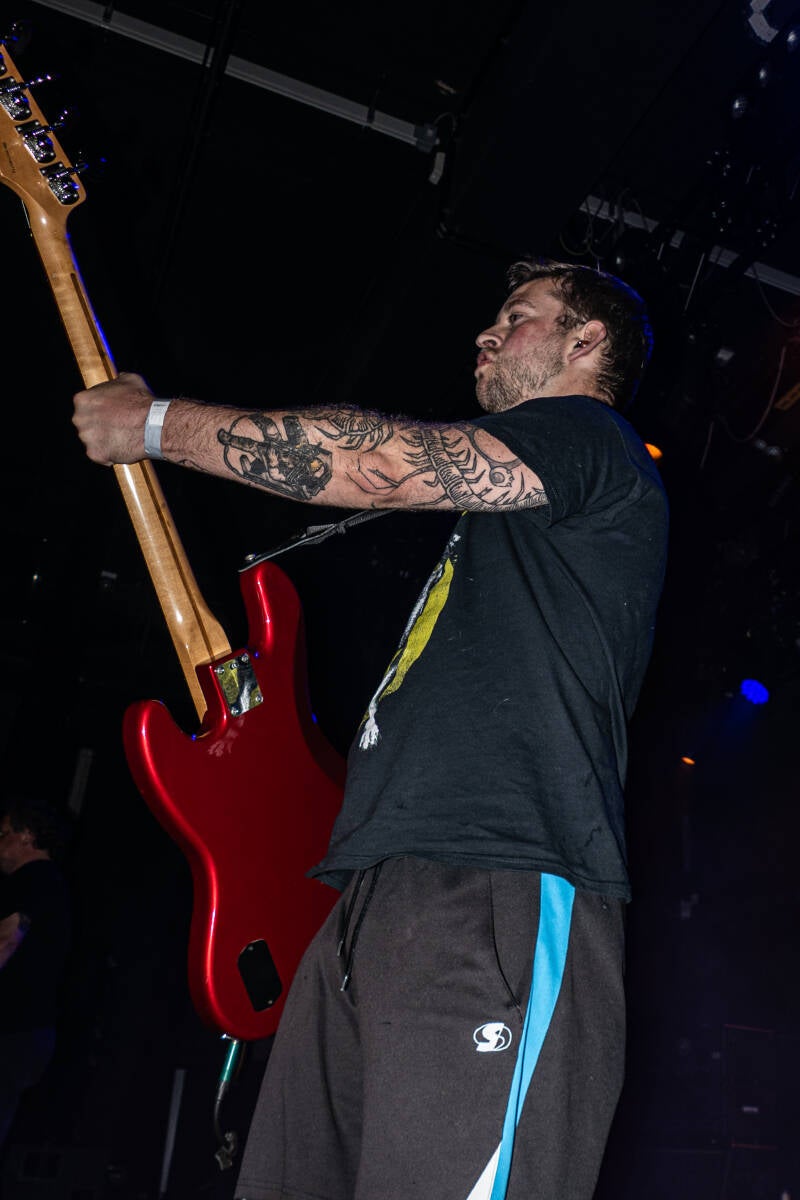 p1235311-standard.jpg