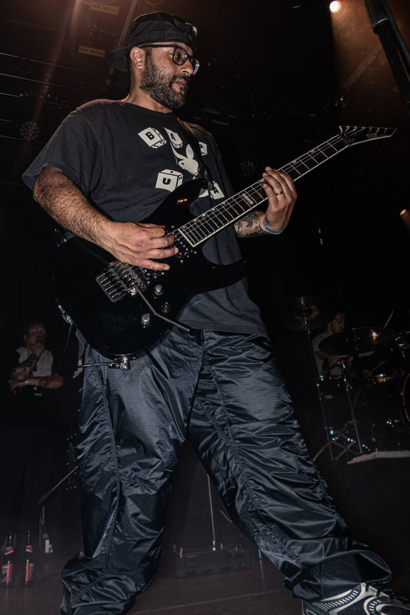 p1235443-standard.jpg