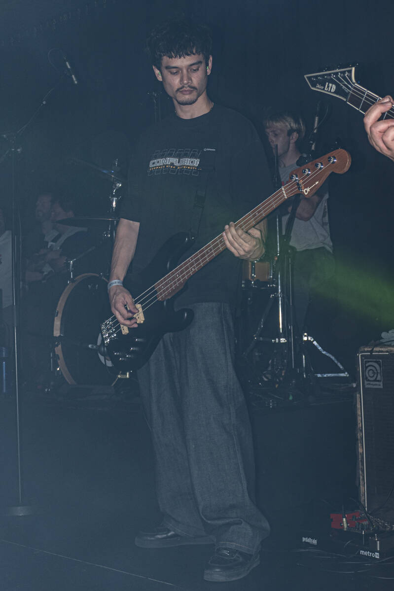 p1235461-standard.jpg