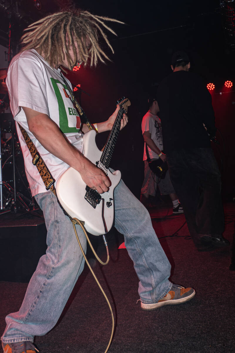 p1235823-standard.jpg