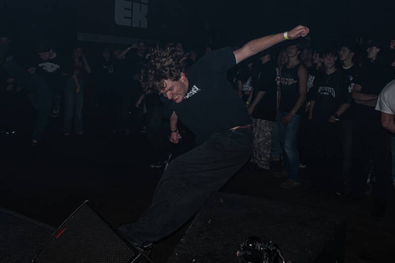 p1246238-standard.jpg