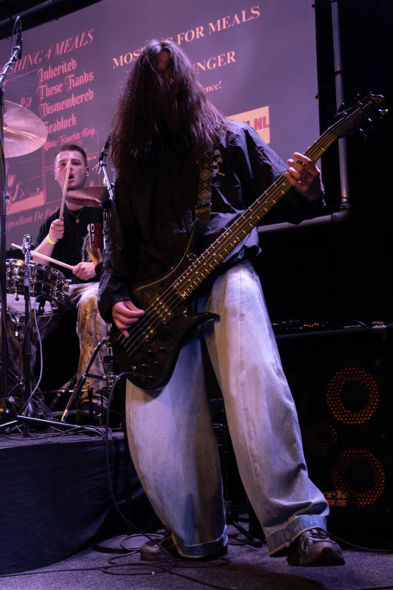 p1246670-standard.jpg