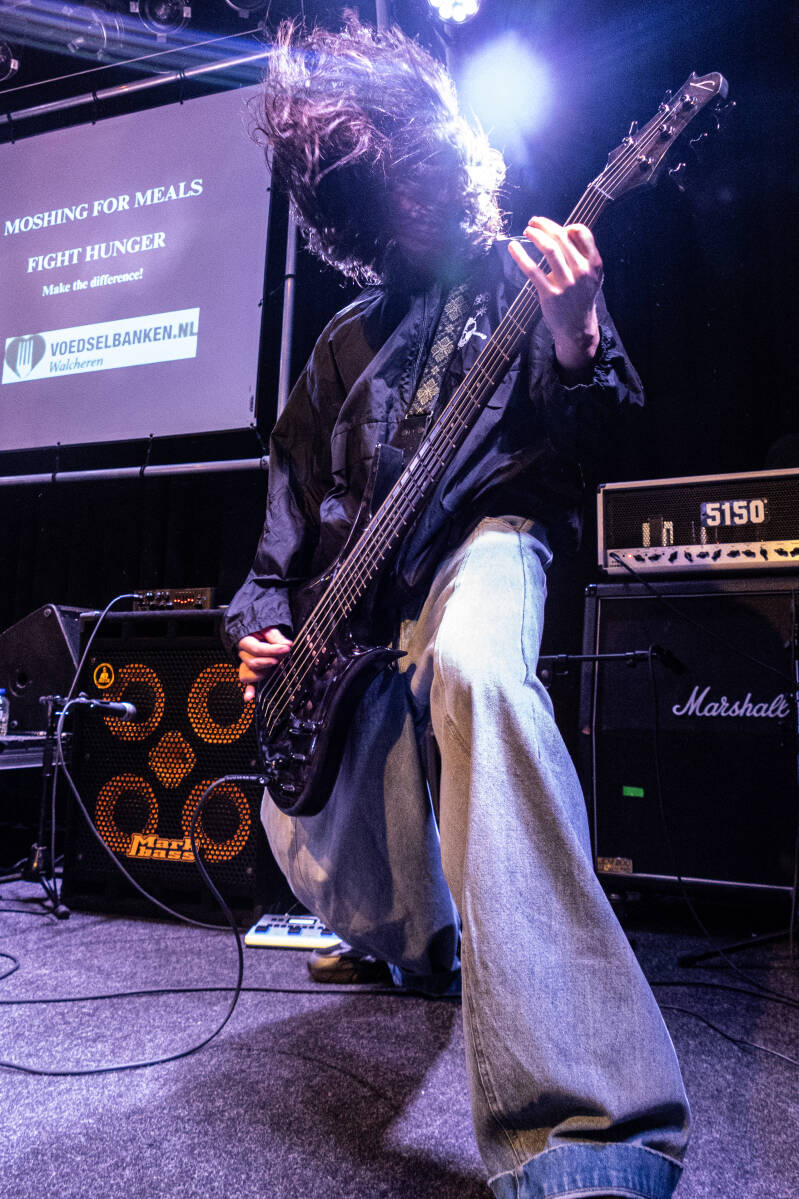 p1246688-standard.jpg