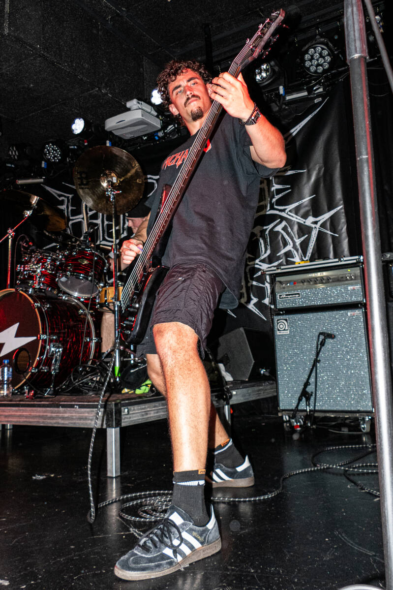 p1257449-standard.jpg