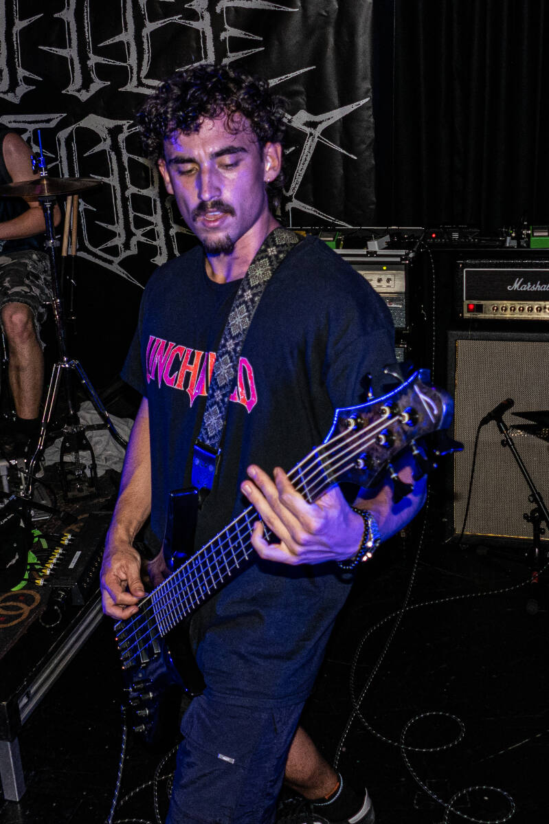 p1257498-standard.jpg