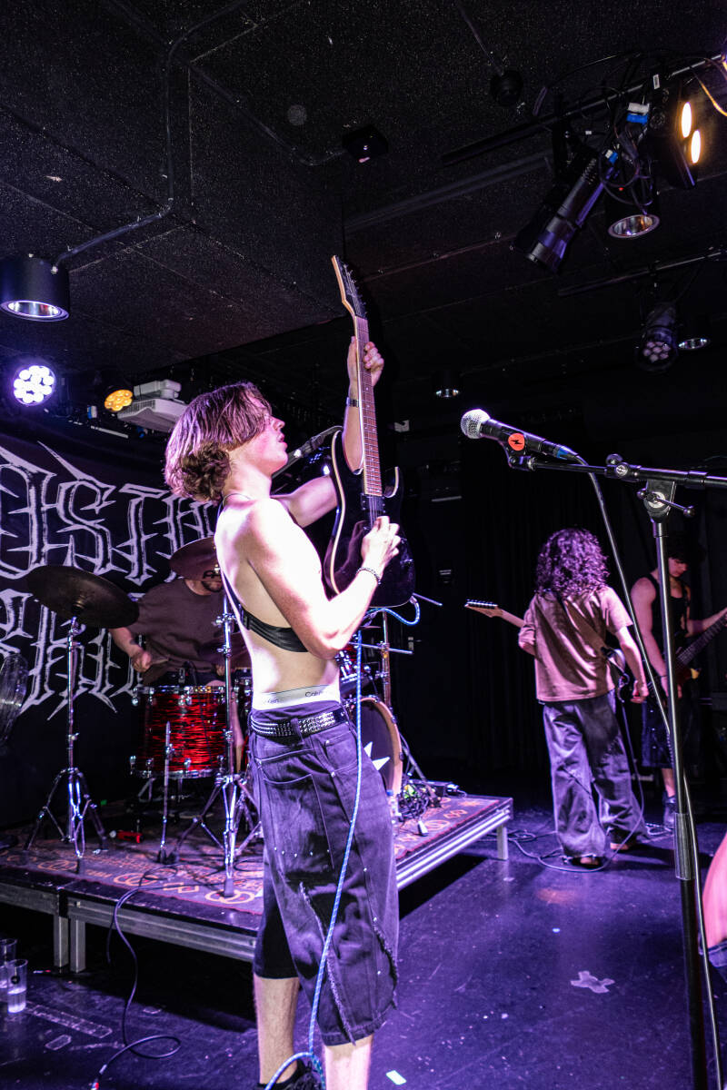 p1257769-standard.jpg