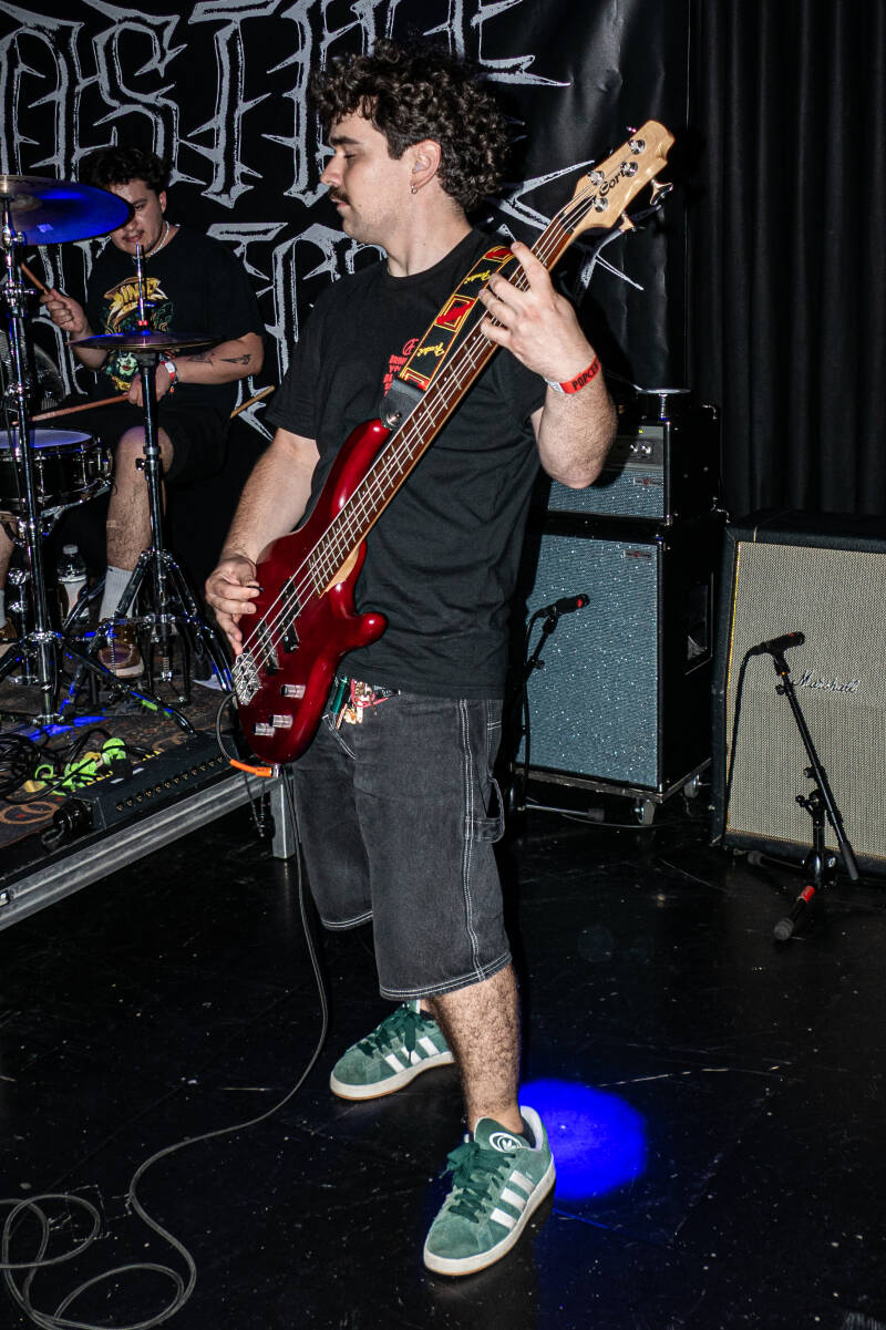 p1257895-standard.jpg