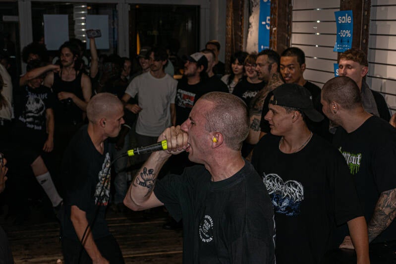 p1268919-standard-d231ku.jpg