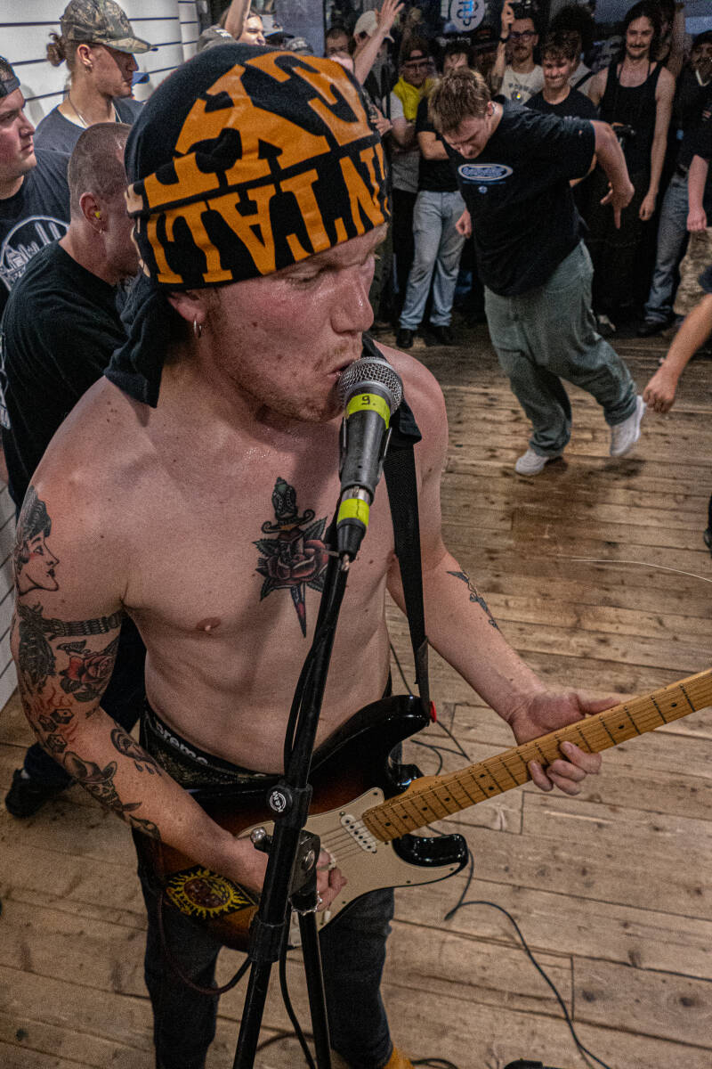 p1268926-standard-zwb5bj.jpg