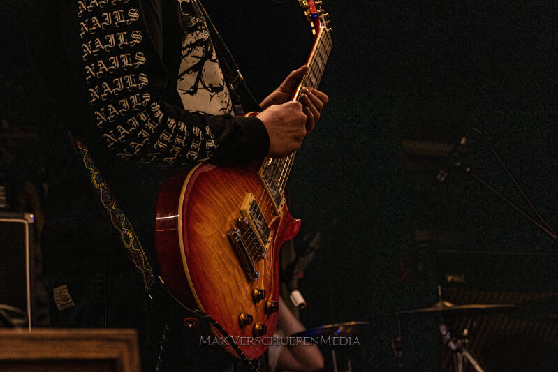 pulsation-1153539-standard.jpg