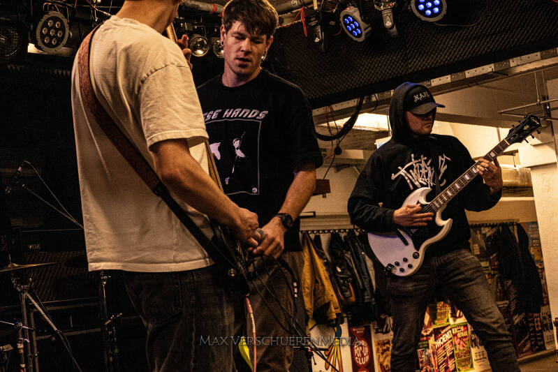 pulsation-1153572-standard.jpg