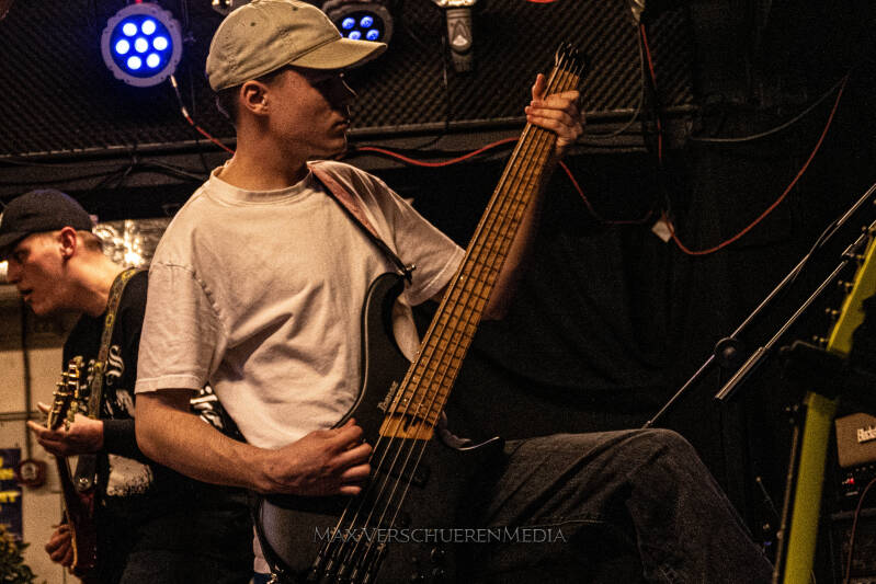 pulsation-1153610-standard.jpg