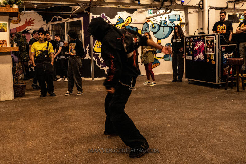 pulsation-1153704-standard.jpg