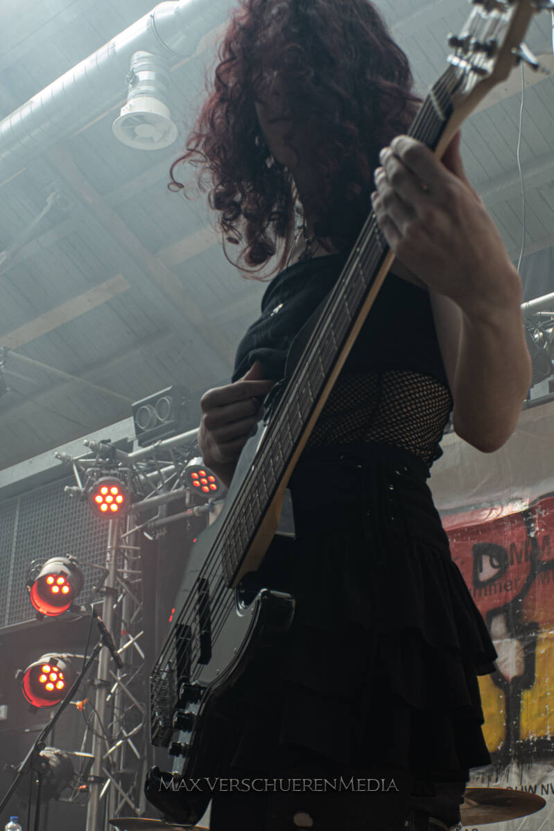 spit-1-standard.jpg
