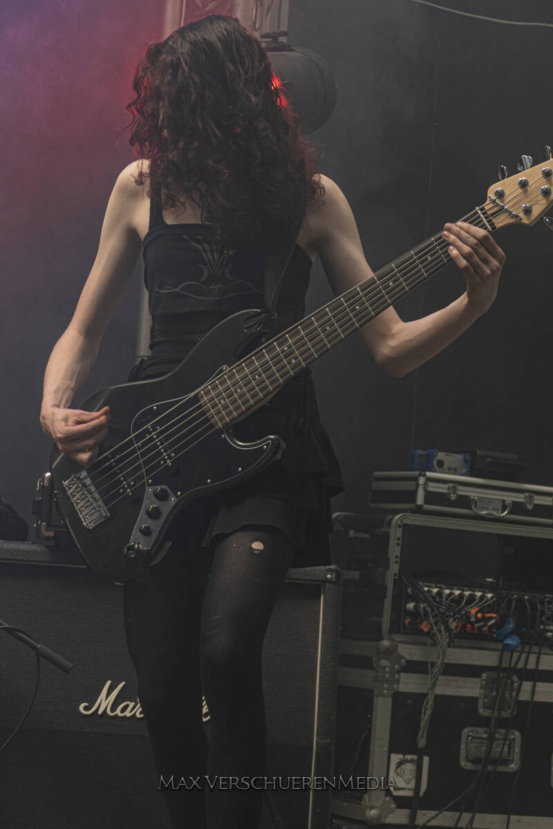spit-14-standard.jpg